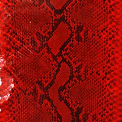 Couro de cobra acabado/curtido FC (Python reticula... - Exotic Couros