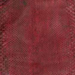 Couro de cobra acabado/curtido FC (Python reticula... - Exotic Couros