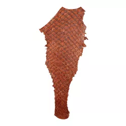 Retalho em Couro De Peixe Pirarucu (Arapaima gigas... - Exotic Couros
