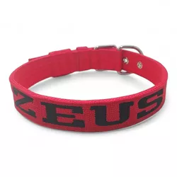 Coleira Fit Personalizada vermelha - 4201-001-VER - Amorosso