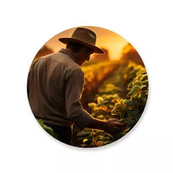 Capa Painel Redondo Agro - Loja | Bibi Painéis