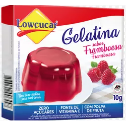 GELATINA ZERO LOWÇUCAR FRAMBOESA 10 G - PADRÃO FONZAR