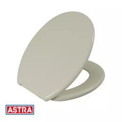 Assento Convencional Plástico TPJ/AS BG5 Areia - A... - Rede Construir Milmart
