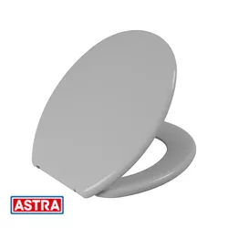 Assento Convencional Plástico TPJ/AS Cinza Claro C... - Rede Construir Milmart