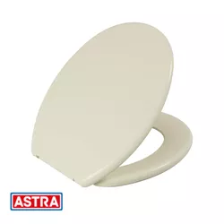 Assento Convencional Plástico TPJ/AS Palha BG8- AS... - Rede Construir Milmart