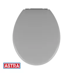 Assento Convencional Almofadado TPK/AS Cinza Claro... - Rede Construir Milmart