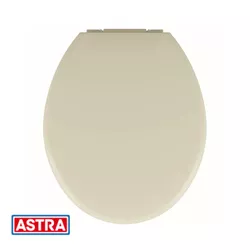Assento Convencional Almofadado TPK/AS Palha BG8 -... - Rede Construir Milmart