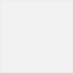 Piso 58000 HD 58X58 A-P4 2,35m² - VIVA - Rede Construir Milmart