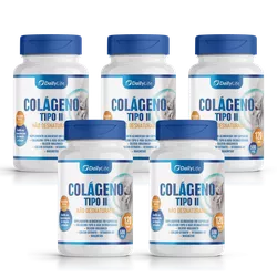 Colágeno Tipo 2 Não Hidrolisad... - KAHSH STORE MARKETPLACE