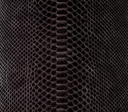 Couro de Python Back Cut 3,13 x 0,28 Café Brilho - Exotic Couros
