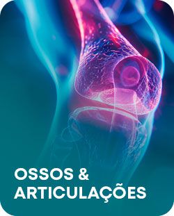 Ossos e Articulações