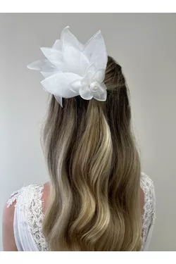 FOLHAS SEDA - LATELIE 