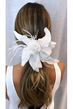 Orquídea plumas - LATELIE 