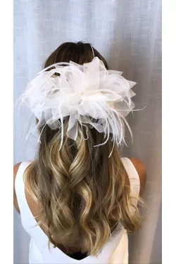 Plumas - LATELIE 