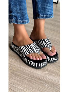 TAMANCO HINGRID ZEBRA