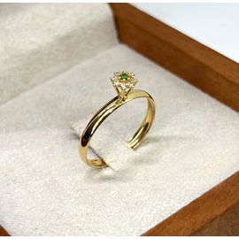 Anel de Formatura em Ouro 18k Personalizado para o Curso de Direito e demais cursos - Helder Joalheiros 