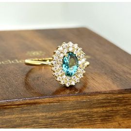Anel de Formatura em Ouro 18k Personalizado para o curso de Biologia e Demais cursos - Helder Joalheiros 