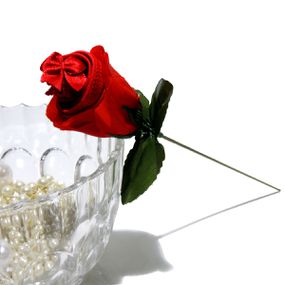 Calcinha Amore Mio (TO016). - Vermelho - lojaSeduzir.com.br Sex Shop e Lingerie Sensual em BH