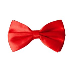 Gravata Borboleta GS - (ST983) - Vermelho - Pura audácia Sex Shop discreta em BH