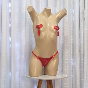 Calcinha Elisa Íntima Delas (ST866) - Vermelho - Use Hard - Fabricante e Sex Shop especializada em prazer anal 