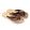Chinelo Laroche Cairo Folhas - Tira Marrom