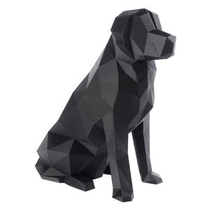 Golden Retriever - Preto - ESTUDIO PIPOU