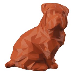 Sharpei - ESTUDIO PIPOU