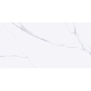 PISO INCOPISO 56X113 ELEGANCE BLANC (2,50 M2/CX) - Sperandio