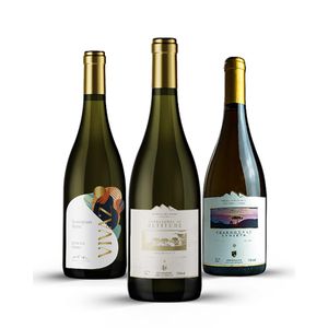 Kit Vinhos Brancos Monte Agudo