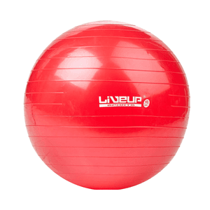 Bola Suíça Pilates Yoga Ginastica 45 CM + DVD GRÁT... - KLMASTERFITNESS