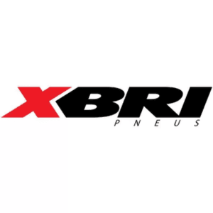 XBRI