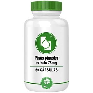 Pinus pinaster extrato 75mg 60 cápsulas
