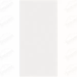 PISO SUPERGRES RAFFINATO 30X58 DREAM WHITE (2,06M2... - Sperandio