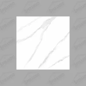 PISO 61X61 CAMEROTTA WHITE PLUS RT (2,23 M2/CX) - ... - Sperandio