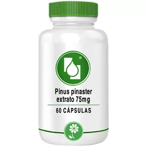 Pinus pinaster extrato 75mg 60 cápsulas