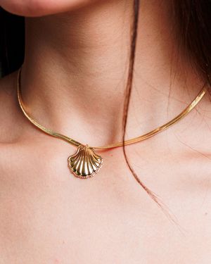 Choker Fita Concha Dourada - Tarcia Carine Semi Jóias & Acessórios