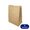 Saco de Papel Kraft SOS Liso G 24x15,5x31cm para Delivery Pluma (50 unidades)
