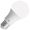 LAMPADA LED DIMERIZAVEL A65 10W E27 KIAN