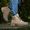  Bota Adventure Haval High Areia / D