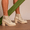 Coturno Molly Feminino Valentina com Fechamento Lateral e Atacador - Off White