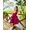 Vestido Botões Com Blusa -uva