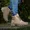  Bota Adventure Haval High Areia / D