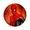 Painel De Festa Redondo Homem Aranha