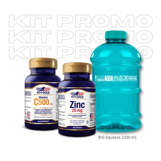 Kit Vit. C 500 + Zinco + Big Squeeze 2200ml - 1514... - Vitgold