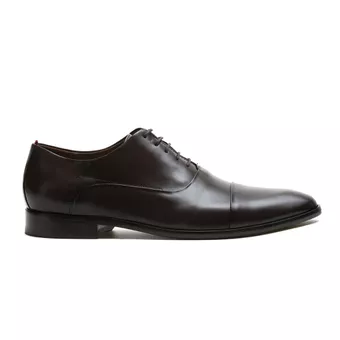 Sapato Oxford Masculino Goldini Moss