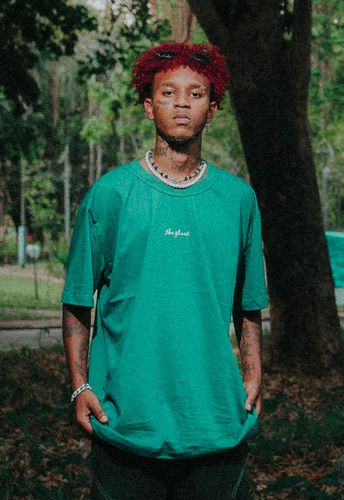 Camiseta The Plant - Make Peace