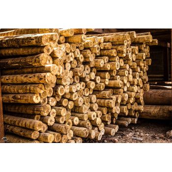 MADEIRA EUCALIPTO PEÇA - FLUZÃO CONSTRUÇÃO