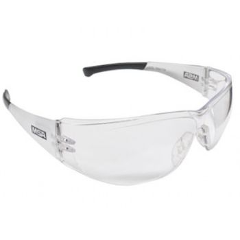ÓCULOS DE PROTEÇÃO INCOLOR SUNBIRD MSA - Loja Neobetel EPI