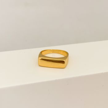 Anel Sinete Banhado a Ouro 18k - 106445 - Roanne Jóias