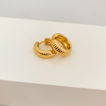 Argola Texturizada Banhada a Ouro 18k - 106456 - Roanne Jóias